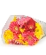 Đồng tiền lớn Mix màu (20 cành)