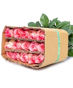 Hồng song hỷ cồ (30 cành)