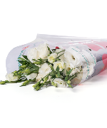 Cát tường trắng (500g)