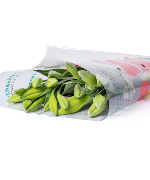 Hoa loa kèn hồng - Pink Lys  (10 bông)