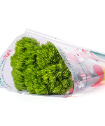 Green wicky (10 cành)