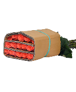 Hồng xanh lưu ly (10 cành)