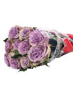 Purple Ohara (10 cành)